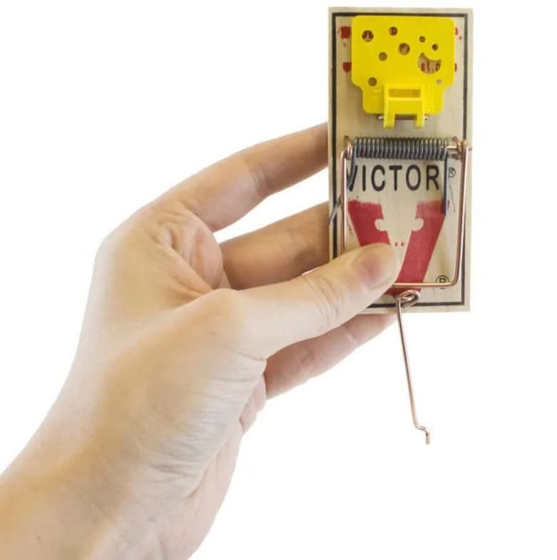 Victor Wide Pedal Mouse Trap – 4 Traps Per Package M032 – PcsOutdoors
